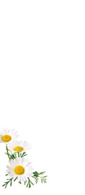 Guhl Fascinerend Blond Shampoo