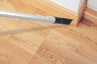 Stofzuiger met zak - HOOVER - TXL21PET - 700 W - 69 dBA - Leigrijs - thumbnail