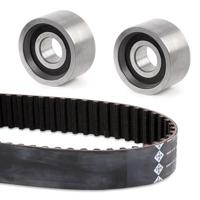 Distributieriemset 530011310 - thumbnail