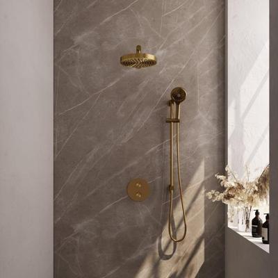 Brauer Stripe thermostatische inbouw regendouche 3-weg rond SET 46 met 25 cm douchekop en rechte muurarm en 3-standen handdouche en doucheslang en geintegreerde glijstang goud geborsteld PVD