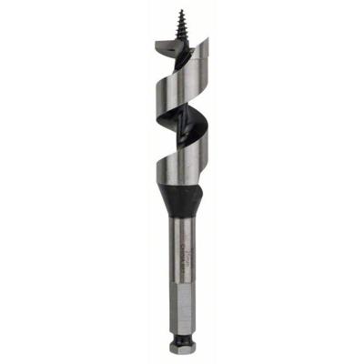 Bosch Accessoires Houtslangenboor, zeskant 25 x 100 x 160 mm, d 11,1 mm 1st - 2608585708 Bosch Accessoires Houtslangenboor, zeskant 25 x 100 x 160 mm, d 11,1 mm 1st - 2608585708