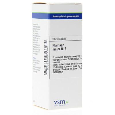 VSM Plantago major D12 20 Milliliter