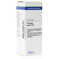 VSM Plantago major D12 20 Milliliter - thumbnail