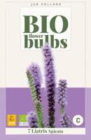 Bio liatris spicata - thumbnail