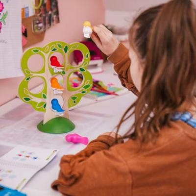 Smart Games 5 Little Birds Denkspel