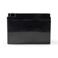 Oplaadbare Loodzuuraccu 12V | 26 000 mAh | 167 x 177 x 126 mm - thumbnail