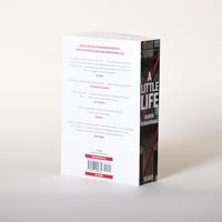 A Little Life - thumbnail