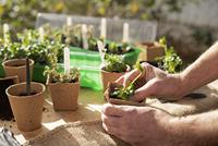 Connex Set Om Jonge Planten Te Verplaatsen - FLOR78850 - thumbnail