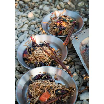 Primus CampFire Plate