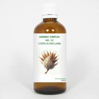 Balancepharma Gemmo simplex 10 corylus avellana 100 Milliliter - thumbnail