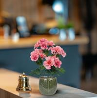 Azalea Kunstplant 35cm rose - thumbnail