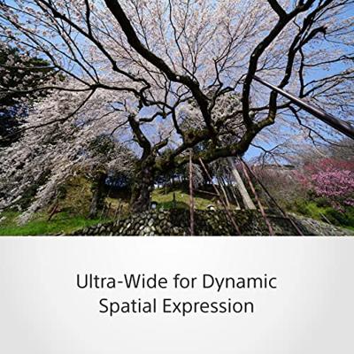 Sony FE 12-24mm F/4.0 G