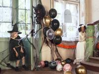 Spinnenweb Halloween Met 2 Spinnen Zwart - thumbnail