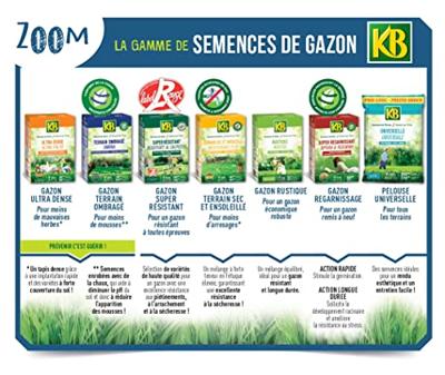 KB - Semi di erba - Terreno asciutto e soleggiato 40m²