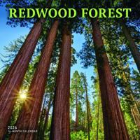 Redwood Bos Kalender 2026 - thumbnail