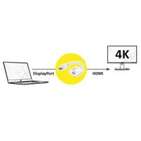 ROLINE DisplayPort/HDMI Adapter, v1.4, HDR 10, DP Male - HDMI Female, Actief - thumbnail