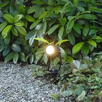 Heitronic PASAS 500031 LED-buitenschijnwerper LED vast ingebouwd 6 W LED Antraciet - thumbnail