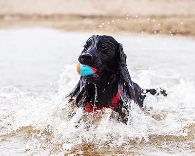 CHUCKIT AMPHIBIOUS BAL - thumbnail