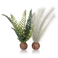 biOrb Distel Varen Grijs/Groen S - thumbnail