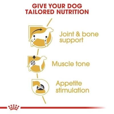 Royal Canin Adult Dachshund (Teckel) natvoer hond (paté) 4 dozen (48 x 85 g)