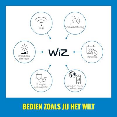 WIZ wandlamp - Connected - Classic Outdoor