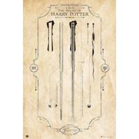 Poster Harry Potter - The Wand 61x91,5cm - thumbnail