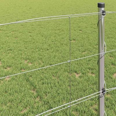 Weidehekwerk Zilver 25 x 0.8 m Gegalvaniseerd staal