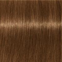 Indola PCC Fashion - thumbnail