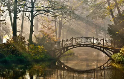 Alexsar Art Tuindoek bos brug 140x90cm