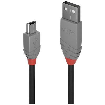 Kabel USB 2.0a naar Mini USB B LINDY Zwart 2 m
