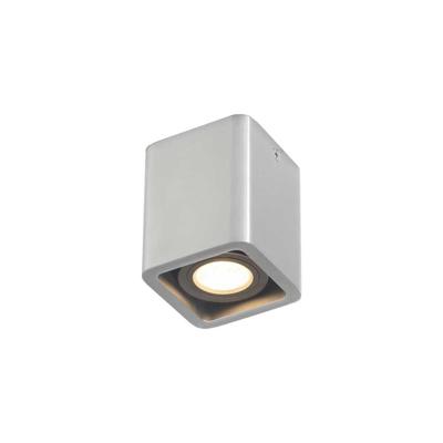 Artdelight RVS opbouwspotBronx - PL BRONX1 ALU