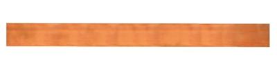 Striebel & John 2CPX061362R9999 Koperrail 500 A 1 stuk(s)