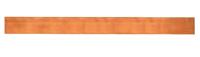 Striebel & John 2CPX061362R9999 Koperrail 500 A 1 stuk(s) - thumbnail