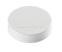 magnetoplan Magneet Ergo Medium (Ø x h) 30 mm x 8 m Rond Wit 10 stuk(s) 1664000 - thumbnail
