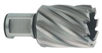 Metabo 626509000 Kernboor 21 mm 1 stuk(s) - thumbnail