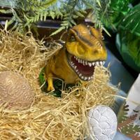 Spaarpot Dinosaurus polyresin 13x15cm - thumbnail