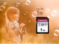 Transcend TS1TSDC300S SDHC-kaart 1 TB Class 10, UHS-I, UHS-Class 1 - thumbnail