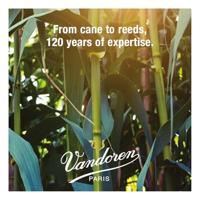Vandoren V21 rieten voor Altsaxofoon 3, 10 stuks - thumbnail