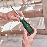 Bosch Groen Bitschroevendraaier en 12 bits - 1600A02BX2 - thumbnail