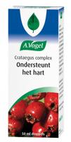 A.Vogel Crataegus + Valeriaan Hart en Bloedvaten Druppels - thumbnail