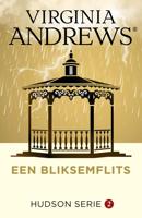 Een bliksemflits - Virginia Andrews - ebook - thumbnail