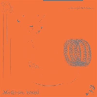 Mediocre, Brutal - CD (2090405426763) Mediocre, Brutal - CD (2090405426763)