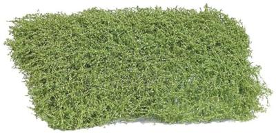 Busch 3596 Heester Lente 35 mm