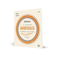 D'Addario EJ79 snarenset voor mandobas - thumbnail