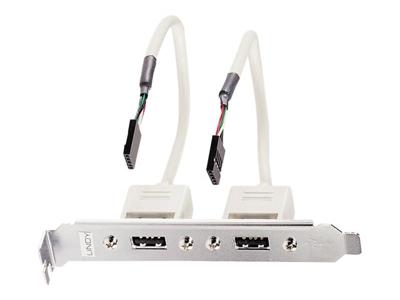 Lindy USB-adapter / 2 x 5 IDC, 0.20m