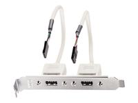 Lindy USB-adapter / 2 x 5 IDC, 0.20m - thumbnail