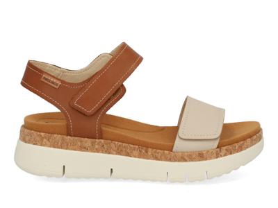 Pikolinos Palma 0940 marfil multi bruin maat 37 Pikolinos Palma 0940 marfil multi bruin maat 37