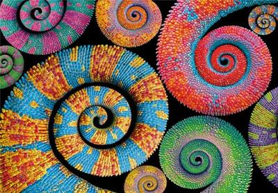 Clementoni colorboom collection puzzel curly 500 stukjes