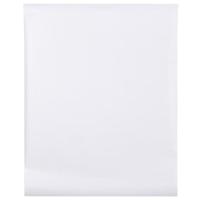 VidaXL Raamfolie mat 60x500 cm pvc transparant - thumbnail