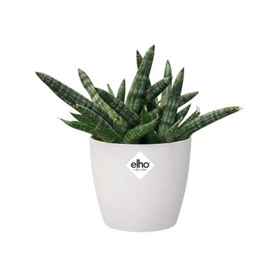 Elho Brussels Mini bloempot rond 10,5 cm wit